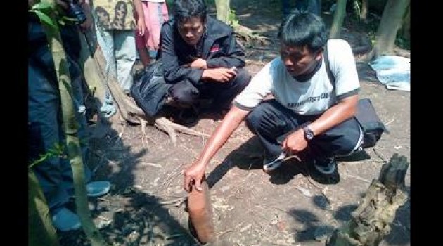 BP3 Trowulan Teliti Struktur Batu Bata Kuno