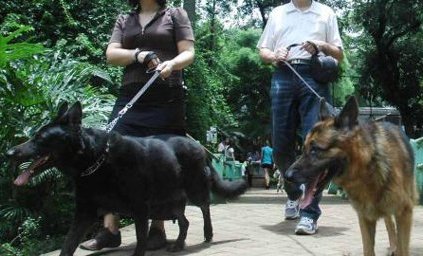 1.000 Anjing dijadikan santapan saat pesta tahun baru