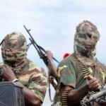 Boko Haram Tiru Aksi Al Qaeda di Mali