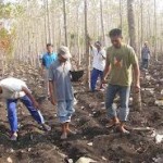 Dualisme Petani Hutan, Parlemen akan Panggil Pengurus