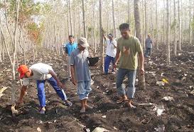 Dualisme Petani Hutan, Parlemen akan Panggil Pengurus