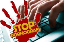 Pendidikan Bahaya Pornografi Harus Disampaikan sejak Dini