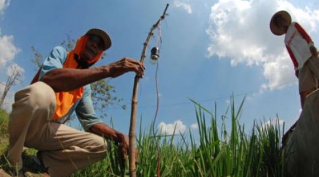 Petani Tewas Tersengat Listrik Jebakan Tikus