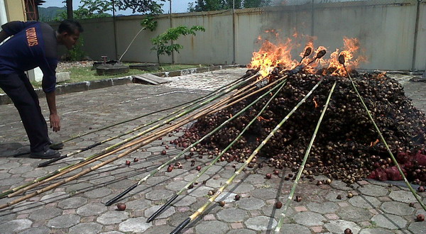 Bea Cukai Musnahkan Ratusan Kilogram Bawang Merah Impor