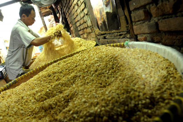 Produksi Kedelai Jatim Belum Mencukupi Kebutuhan Masyarakat