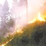 Hutan Gunung Lawu Terbakar lagi