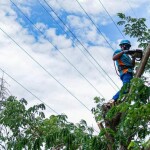 PLN Jatim minta masyarakat laporkan potensi bahaya saat musim hujan