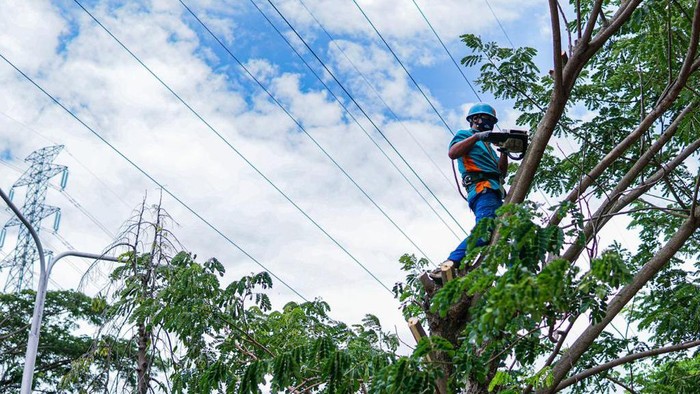 PLN Jatim minta masyarakat laporkan potensi bahaya saat musim hujan