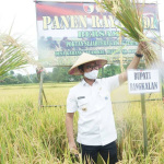 Ra Latif : Bangkalan Bisa Jadi Lumbung Pangan Madura