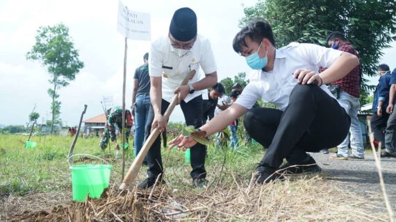 Bupati Ra Latif Tanam Pohon di Tanah Merah Bernilai Ekonomis