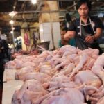 Harga daging ayam di Jatim naik, masih dicari penyebabnya