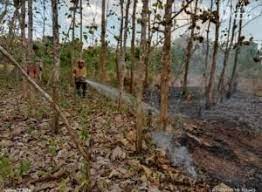 Terbakarnya Gunungan Sampah di TPS Lamongan