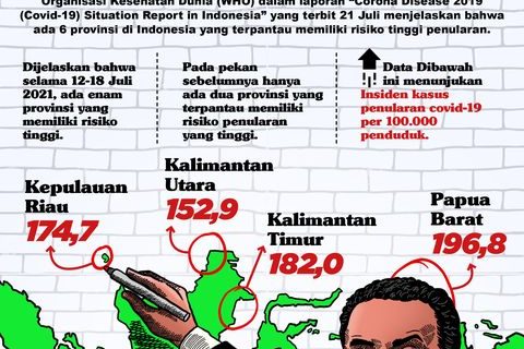 6 Provinsi di RI dengan Tingkat Penularan Corona Tertinggi Diungkap WHO