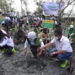 Abrasi Tiap Tahun, Gubernur Jatim Tanam Mangrove di Banyuurip Gresik