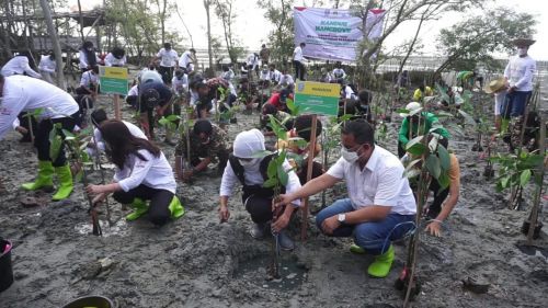 Abrasi Tiap Tahun, Gubernur Jatim Tanam Mangrove di Banyuurip Gresik