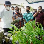 Produk industri daun kelor didukung penuh Menteri Koperasi dan UKM