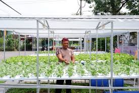 “urban farming”, Bupati Muhdlor ajak warga perkotaan manfaatkan lahan