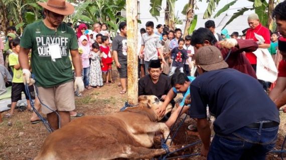 Bupati Abdul Latif Bentuk Tim Juru Sembelih Halal Di Bangkalan