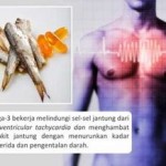 Cegah Penyakit Jantung? Perbanyak Konsumsi Ikan