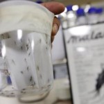 Kasus Malaria di Indonesia Masih Tinggi