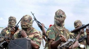Boko Haram Tiru Aksi Al Qaeda di Mali