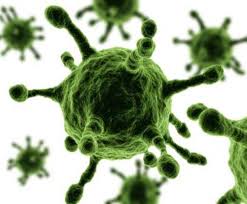 Ditemukan Virus H7N9 yang Kebal Tamiflu