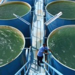 Anggota DPR Minta Pemkab Pasuruan Tinjau Ulang Proyek Air Umbulan