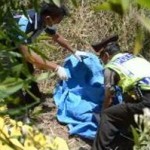 Mayat Gadis Tanpa Busana Ditemukan di Tengah Hutan Kayu Putih