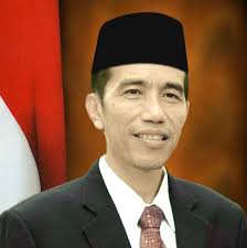 Pendamping Jokowi diusulkan seperti Ahok