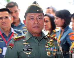 Panglima TNI: jangan ganggu pemilu
