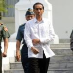TPDI Minta Jokowi Coret Calon Menteri Bermasalah
