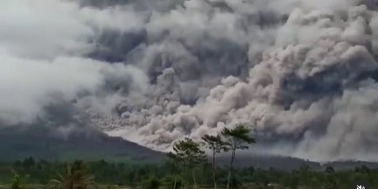Erupsi Semeru, sembilan kecamatan di Probolinggo terdampak abu vulkanik