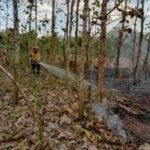 Terbakarnya Gunungan Sampah di TPS Lamongan