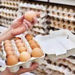 Harga Telur Ayam Turun, Jatim Deflasi 0,11 Persen