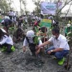 Abrasi Tiap Tahun, Gubernur Jatim Tanam Mangrove di Banyuurip Gresik