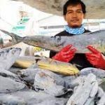 Kontribusi BUMN, PT Perikanan Indonesia ekspor hasil Laut ke AS dan Jepang