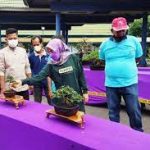 Bonsai tembus pasar luar negeri Harap Pemkab Kediri