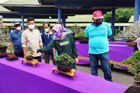 Bonsai tembus pasar luar negeri Harap Pemkab Kediri