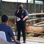 PT Korina Group hibah sapi ke Peternak Kabupaten Kediri