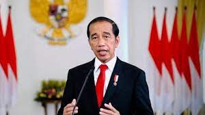 Presiden Jokowi berencana tunjuk kepala dan wakil kepala otorita IKN