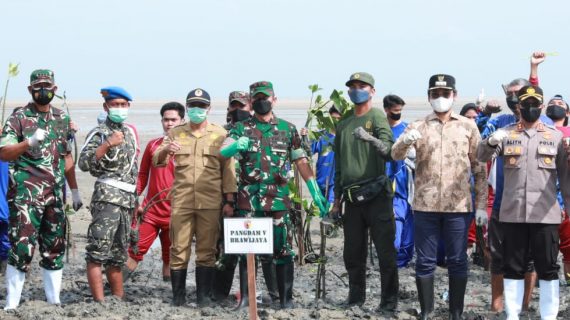Lestarikan Pantai Desa Lajing Bupati Abdul Latif dan Pangdam V Brawijaya Menanam Mangrove