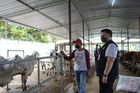 Pemkab Kediri dorong program korporasi sapi untuk diolah jadi pupuk dan biogas