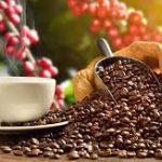 Petani Kopi Ijen menggeliat, aroma kopi tercium hingga mancanegara