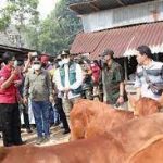 Bupati Abdul Latif minta satgas peternakan perketat pengawasan sapi ternak
