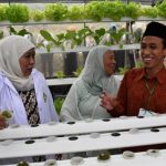 Solusi Lulusan Pesantren Dalam Mencari Lapangan Pekerjaan