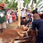 Bupati Abdul Latif Bentuk Tim Juru Sembelih Halal Di Bangkalan