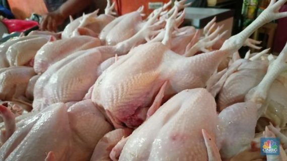 Harga Daging Dan Telur Yang Belum Turun Meski Meningkatnya Acara Hajatan Di Ngawi