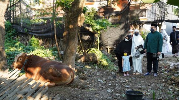 Keluarga Bupati Kediri Berkurban Sapi Simmental Di Masjid Dekat Rumahnya