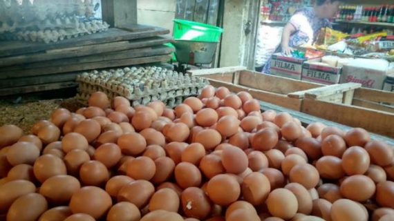 Harga Daging Dan Telur Yang Belum Turun Meski Meningkatnya Acara Hajatan Di Ngawi