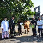 Sebanyak 55 Hewan Kurban Dari Unisma Disalurkan Ke Masjid